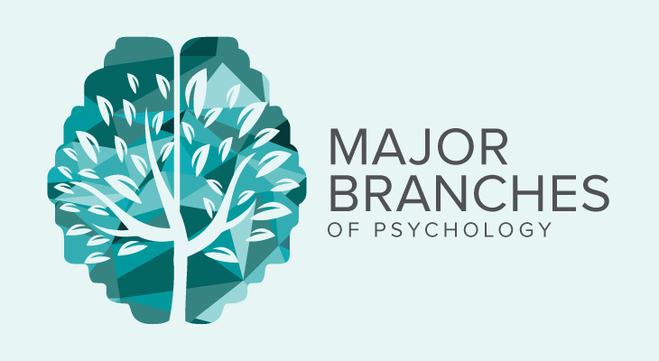 Major Branches of Psychology Guide