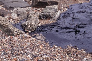 BP oil spill