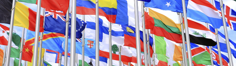 Flags representing the different countries 