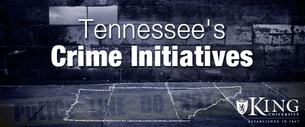 Tennessee's crime initiatives 