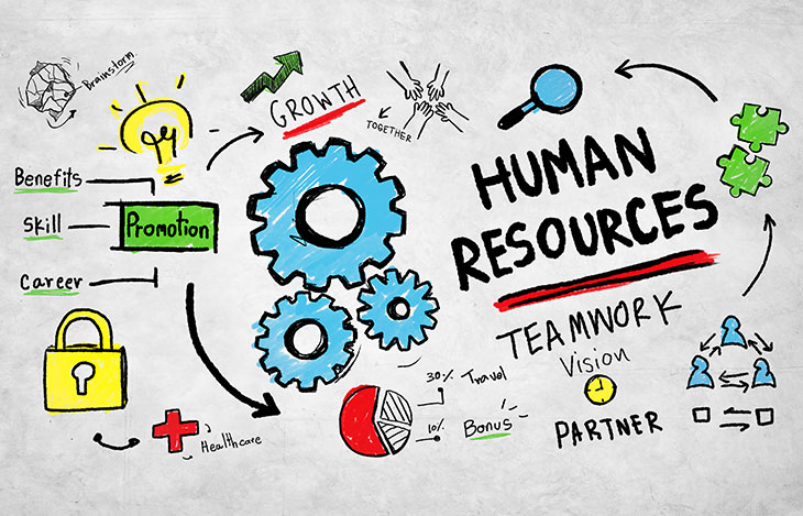 Human Resource flow chart 