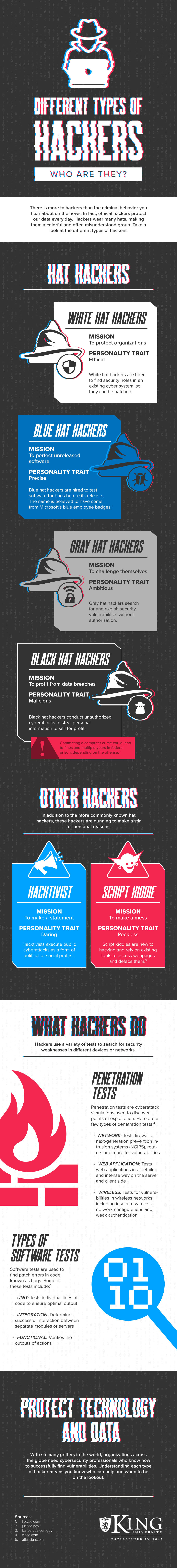 Different Types of Hackers Infographic