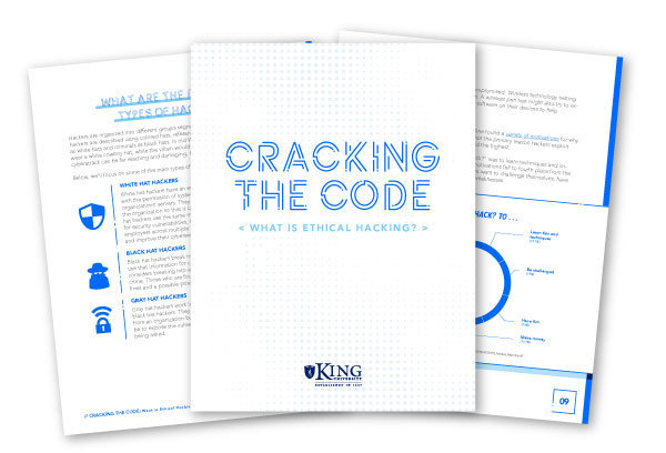 Image result for Cracking the Code: A Step-by-Step Guide to Opening Windows infographics